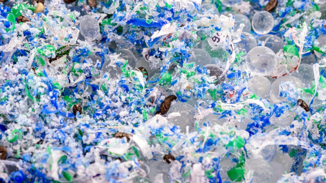 Bioinżynierowane bakterie jako żywe sensory do wykrywania mikroplastiku w wodzie