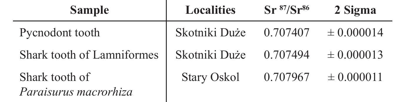 Nowe żaby i gekon odkryte na odizolowanej wyspie w Australii — dwa gatunki żab i jeden gekon endemic ny na Dauan Island
