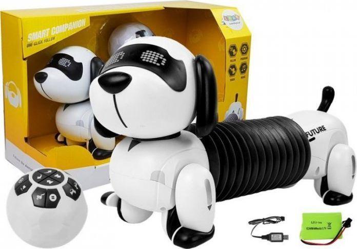 Robot-pies gra w badminton jak prawdziwy — sztuczna inteligencja i robotyka włączają się w sporty i współzawodnictwo