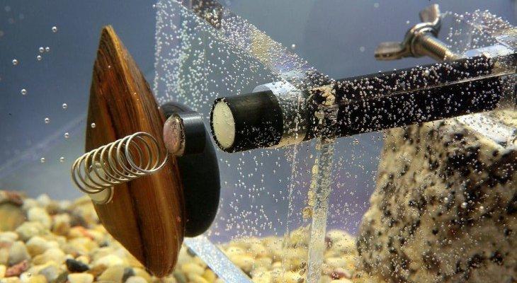 Bio-inżynierowane bakterie jako żywe sensory do wykrywania mikroplastiku w wodzie — nowe narzędzie ochrony środowiska